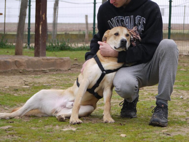 multimedia-foto81329-934-1