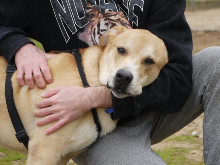 multimedia-foto81330-934-1