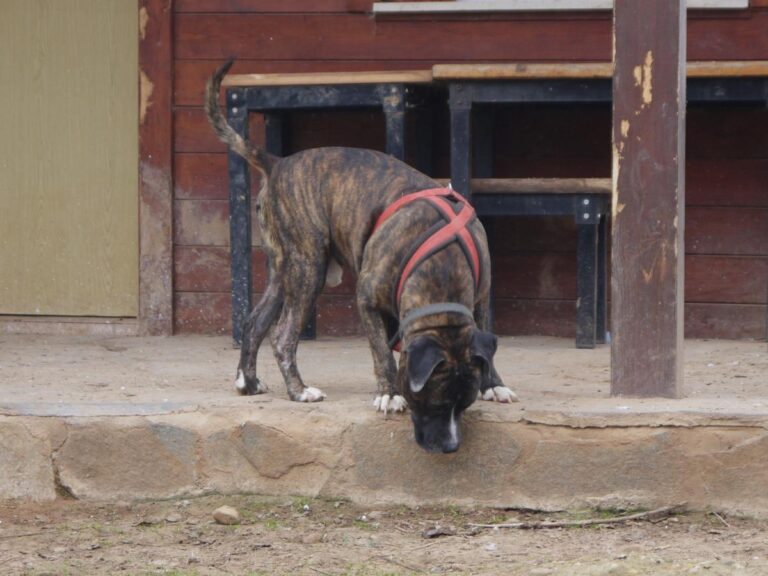 multimedia-foto81332-148-1