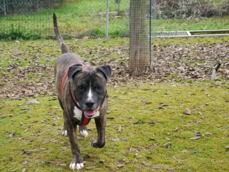 multimedia-foto81333-148-1