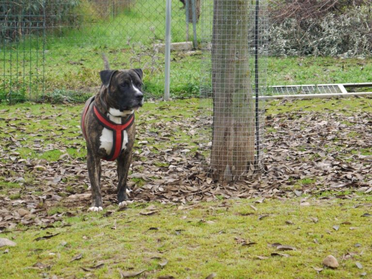 multimedia-foto81334-148-1