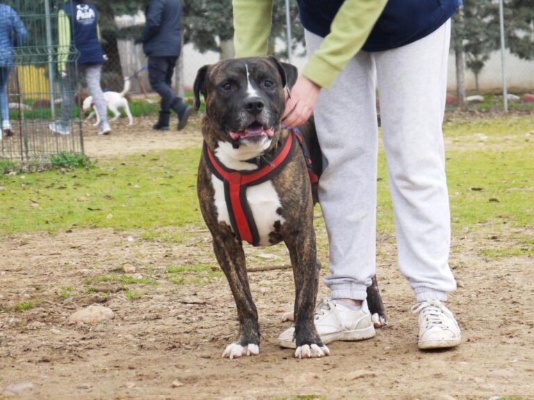 multimedia-foto81335-149-1