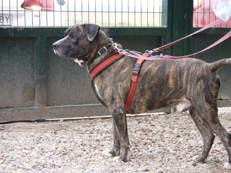 multimedia-foto81336-149-1