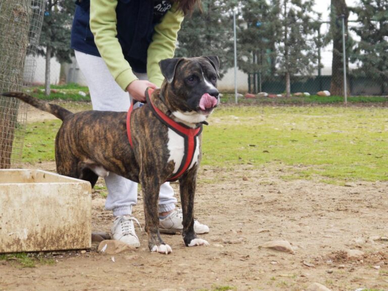 multimedia-foto81337-149-1