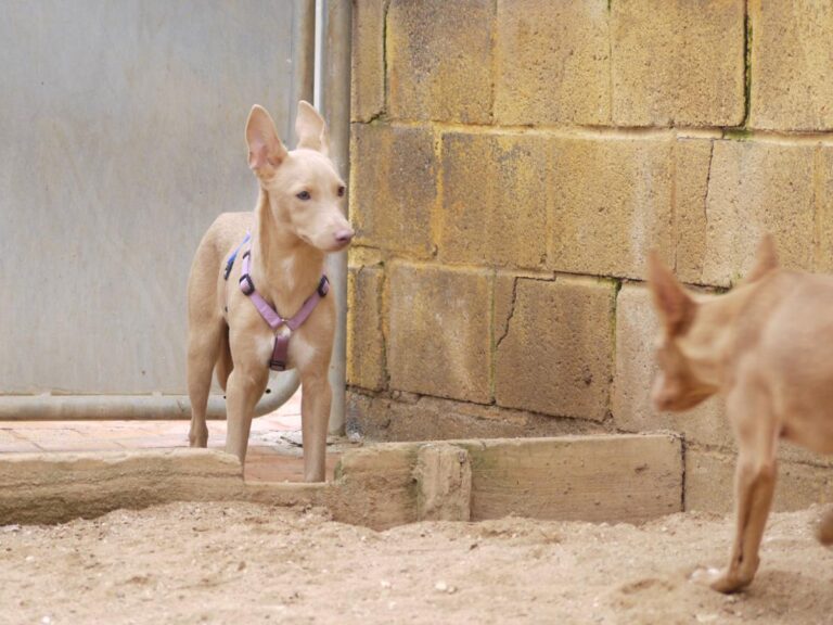 multimedia-foto81353-53-1