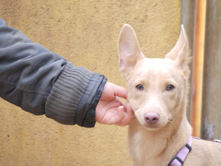 multimedia-foto81355-53-1