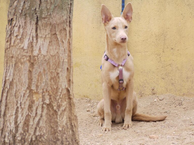 multimedia-foto81357-53-1