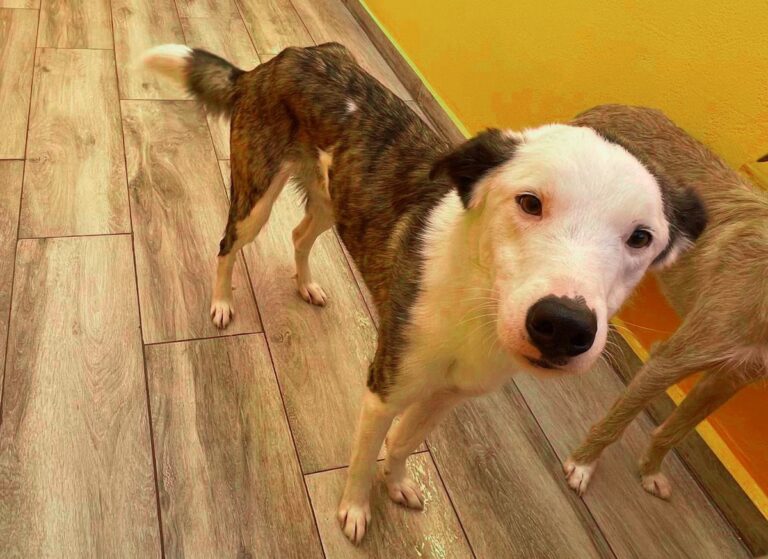 multimedia-foto81361-318-1