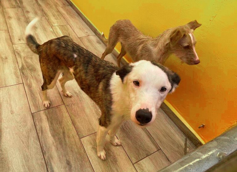 multimedia-foto81362-318-1