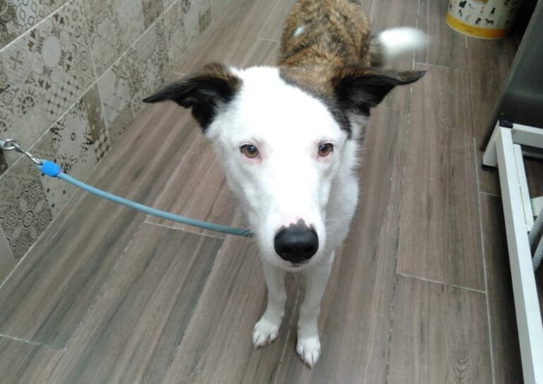 multimedia-foto81363-319-1