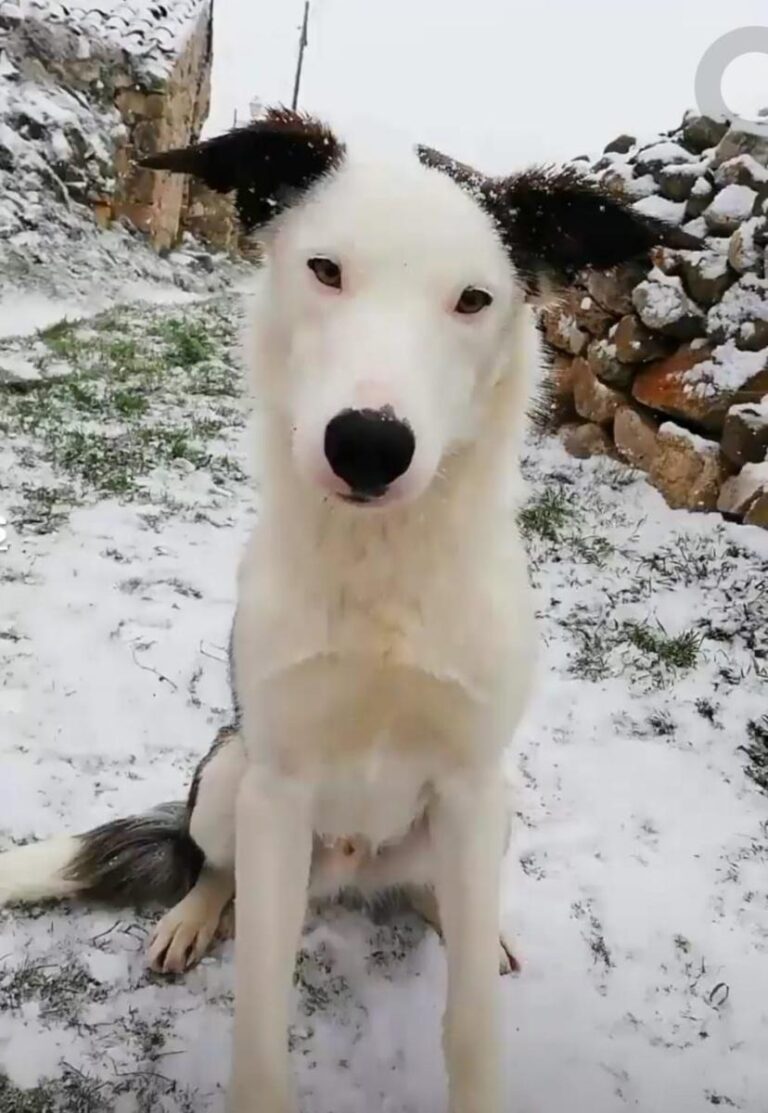 multimedia-foto81364-319-1