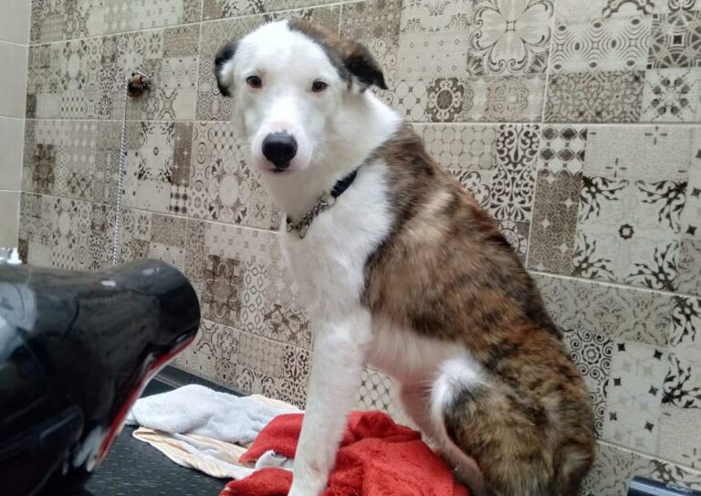 multimedia-foto81365-319-1