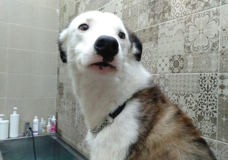 multimedia-foto81366-319-1