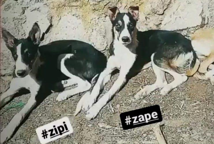 multimedia-foto81389-700-1