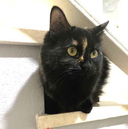 multimedia-foto81397-307-1