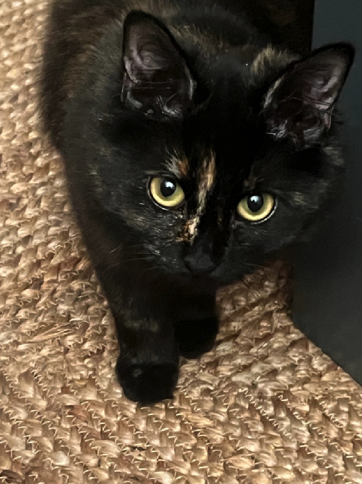 multimedia-foto81398-618-1