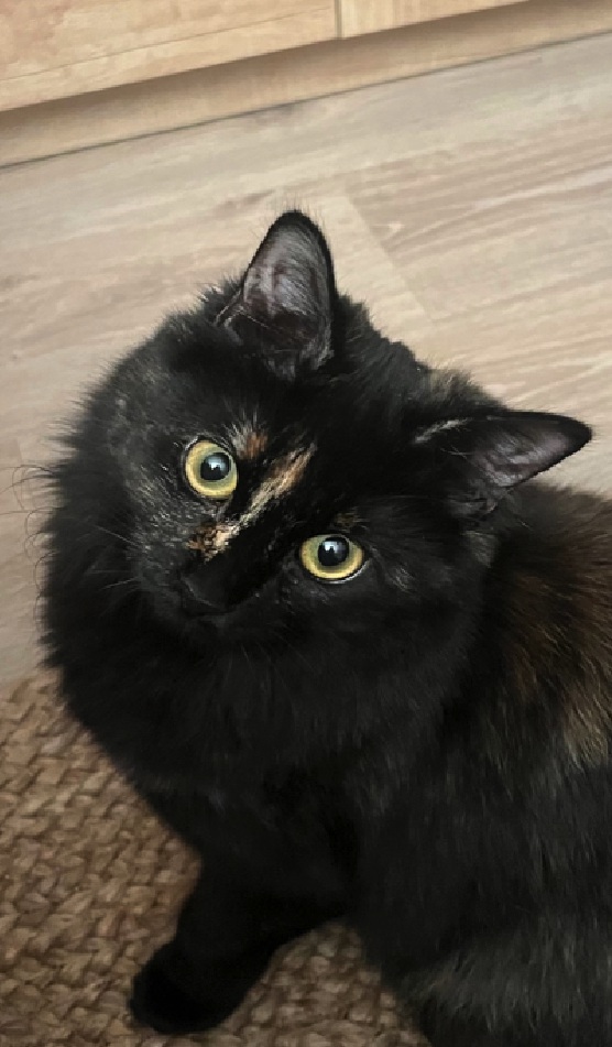 multimedia-foto81399-618-1