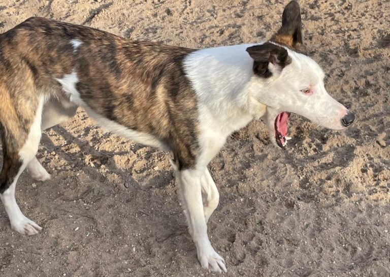 multimedia-foto81471-141-1