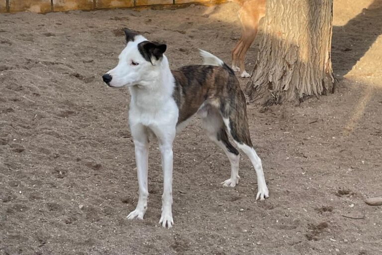 multimedia-foto81473-141-1