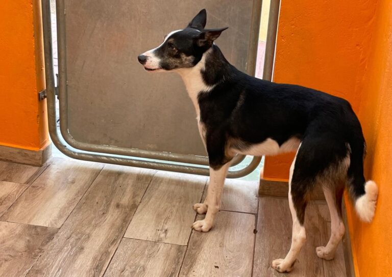 multimedia-foto81486-391-1