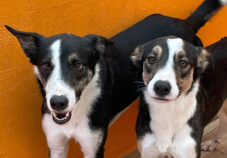 multimedia-foto81489-392-1