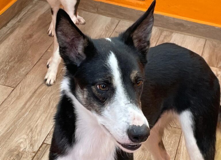 multimedia-foto81490-392-1