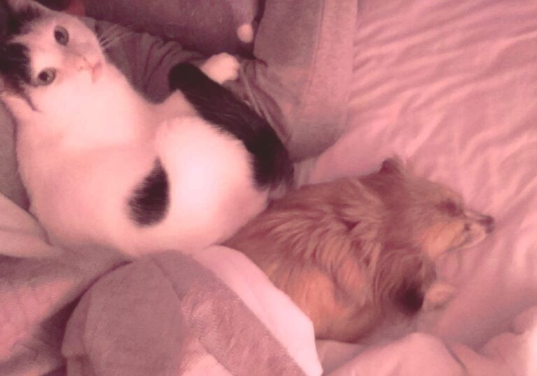 multimedia-foto81492-972-1