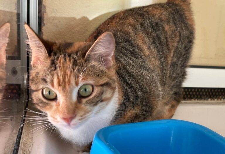 multimedia-foto81507-579-1