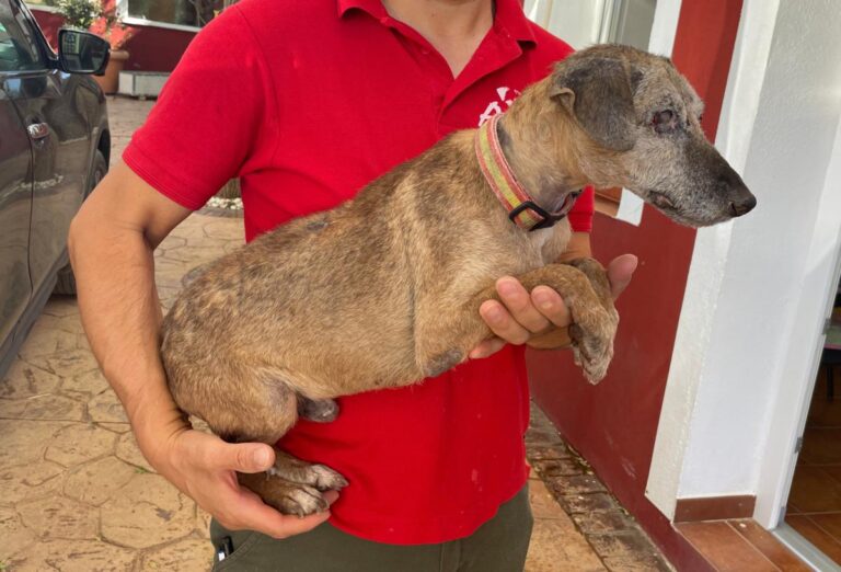 multimedia-foto81526-988-1