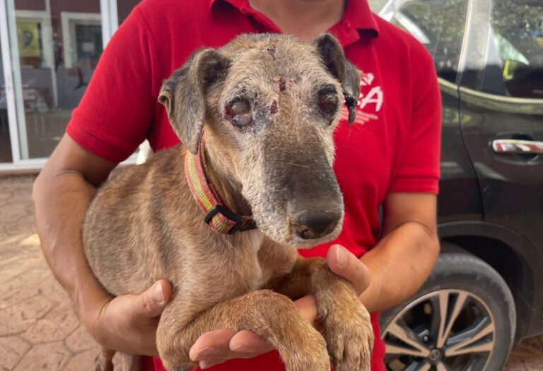 multimedia-foto81527-988-1