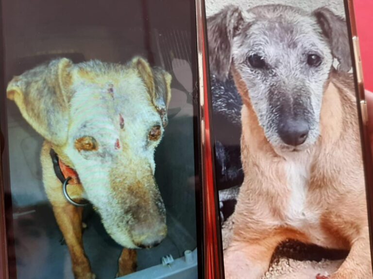 multimedia-foto81528-988-1