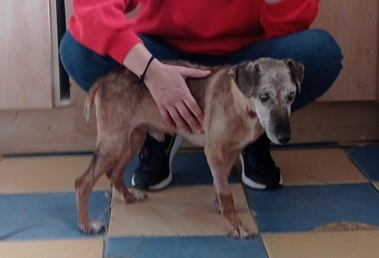 multimedia-foto81529-988-1