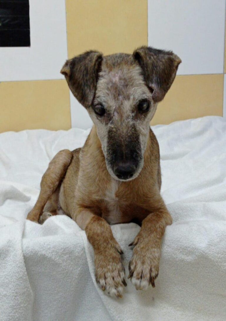 multimedia-foto81530-989-1