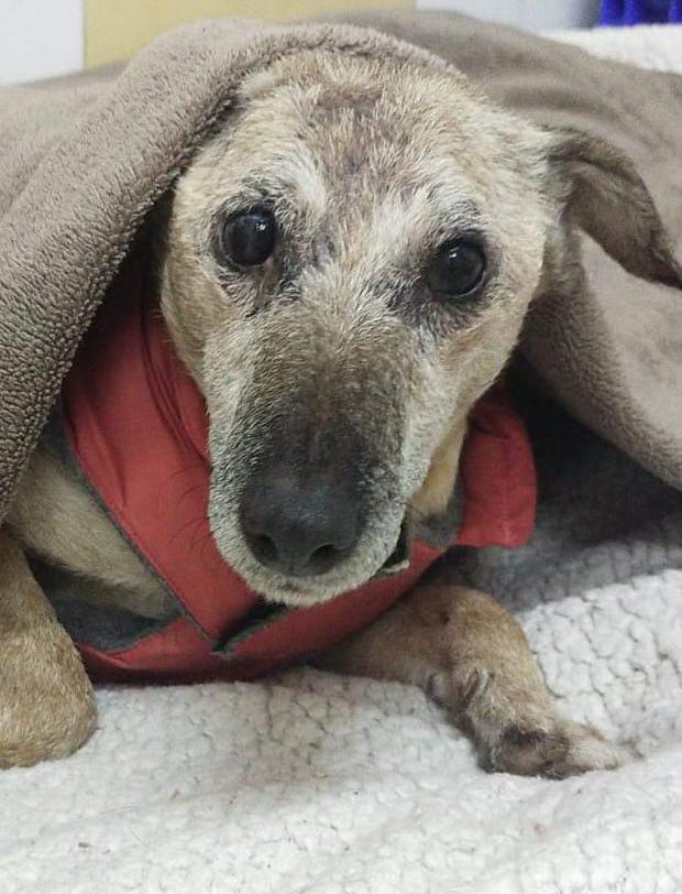 multimedia-foto81531-989-1