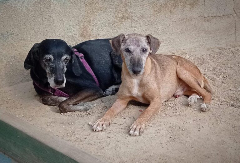 multimedia-foto81532-989-1