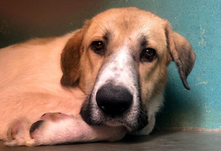 multimedia-foto81588-923-1