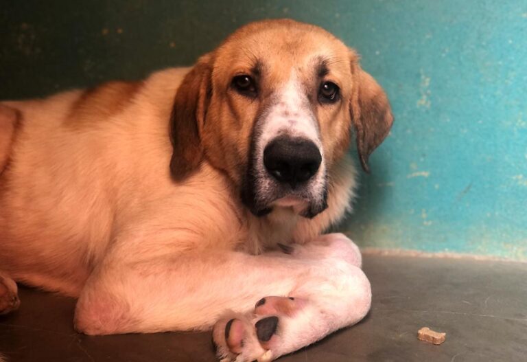 multimedia-foto81589-923-1