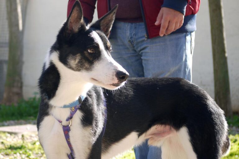 multimedia-foto81596-471-1