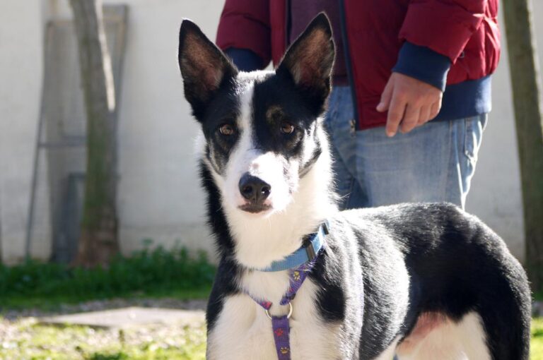 multimedia-foto81597-471-1