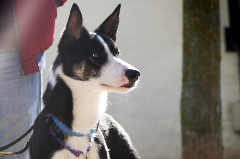 multimedia-foto81598-471-1