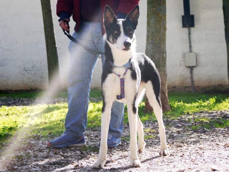 multimedia-foto81599-472-1