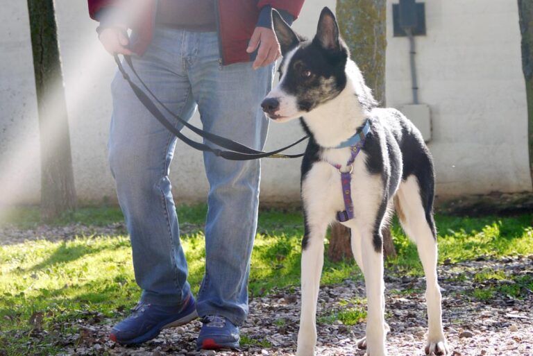 multimedia-foto81600-472-1