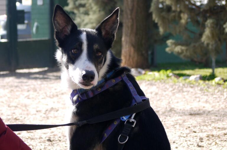 multimedia-foto81602-472-1