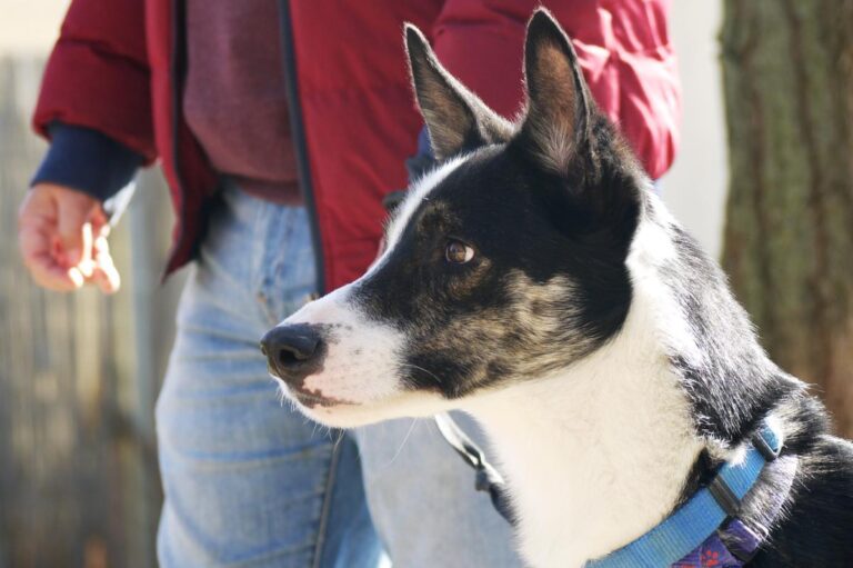 multimedia-foto81603-473-1