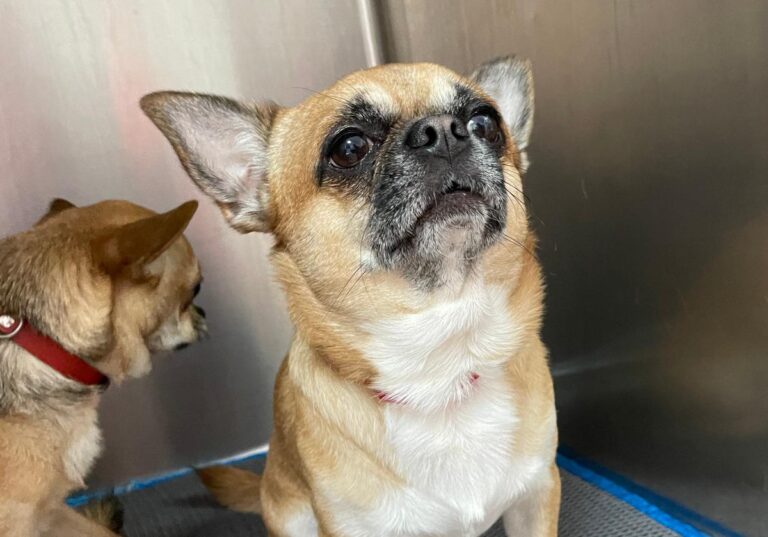 multimedia-foto81629-233-1