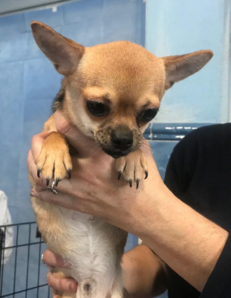 multimedia-foto81630-287-1