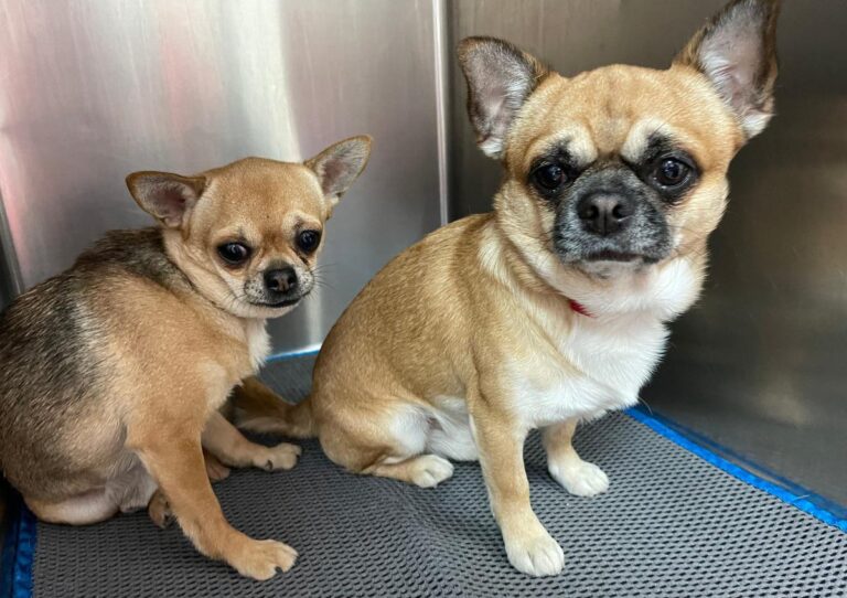 multimedia-foto81631-287-1