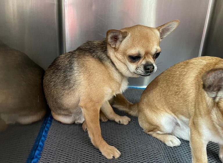 multimedia-foto81633-287-1