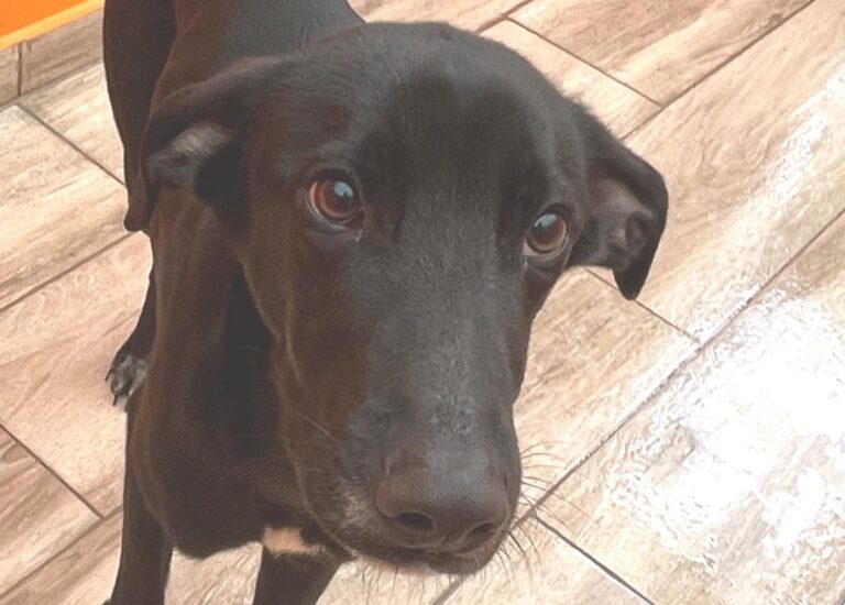 multimedia-foto81695-475-1