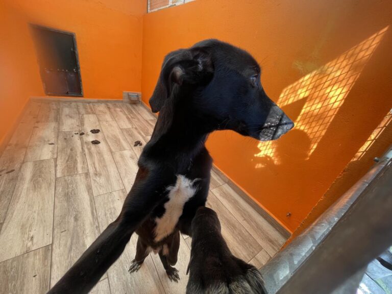 multimedia-foto81698-475-1